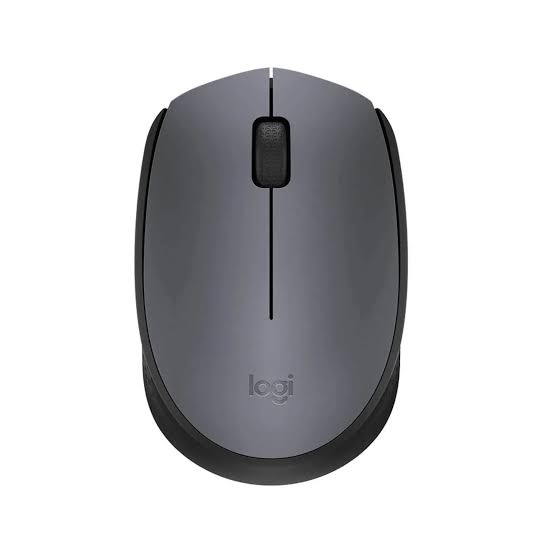 Logitech M-171 Mouse